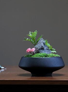 现代新中式永生苔藓微景观样板间家居装饰客厅桌面茶几高级感摆件