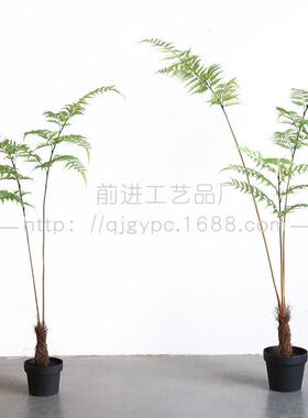 侘寂风仿真植物盆栽金丝猴蕨中式景观绿植盆景金毛狗蕨客厅绿植