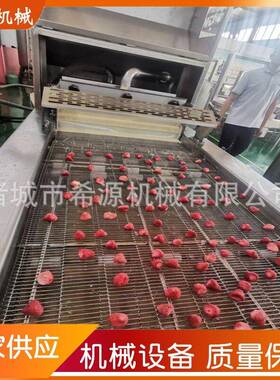 冻干草莓巧克力涂层机梦龙脆皮冰皮月饼巧克力涂层机 双面可淋