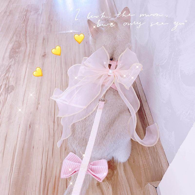 猫咪牵引绳防挣脱外出专用小猫幼猫高颜值遛猫逗猫绳子仙气猫猫,淘宝优惠券,粉丝福利购,淘宝优惠卷