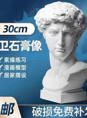 北欧大卫石膏像雕塑头像家庭玄关摆件美术画室素描写生轻奢创意