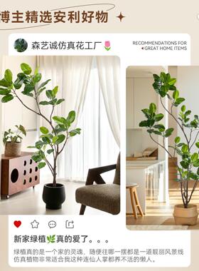 孟加拉榕彷真绿色植物高端轻奢大型室内装饰落地盆栽摆件假树彷生