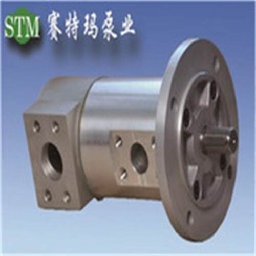 RSF020R42VBBW3F2/4P小体积润滑冷却泵 - 图0