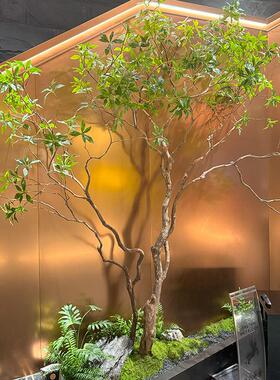 仿真马醉木绿植景观组合假树植物楼梯下造景橱窗角落室内装饰布置