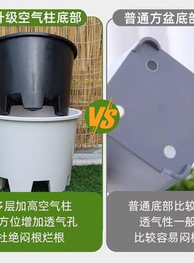 超大号蓝莓花盆加厚蓝莓专用盆加高圆形塑料花盆透气呼吸蓝莓盆