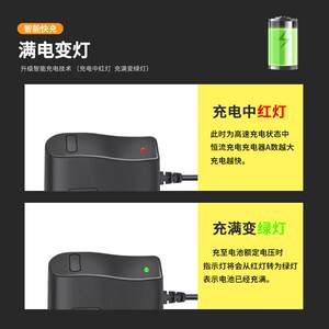 小龙哈彼儿童电动车适用LW336 7V800mA扁孔方口充电器电池凯鹰适