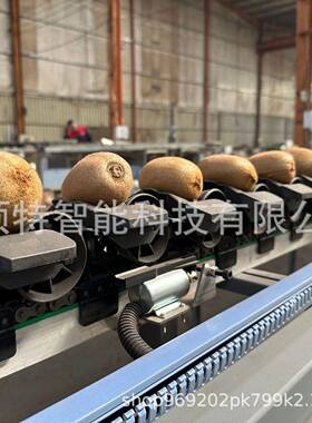 橙子电子选果机番石榴自动称重重量分选机西红柿等级分选设备
