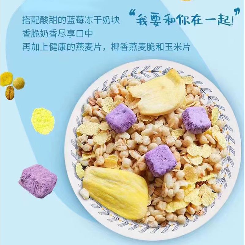 雅弥优格嚼拌酸奶超大杯包装常温草莓菠萝蜜核桃搅拌嚼绊营养代餐