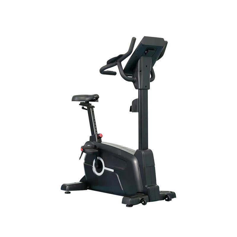 Spot swing bicycle, vertical bicycle, dynamic bicycle, fitness bike, commercial bicycle, fitness equipment, gym home