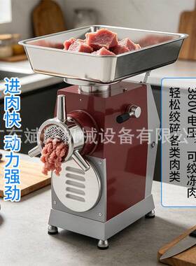 大型商用多功能不锈钢绞肉机大功率电动可绞鲜肉微冻肉立式绞肉机