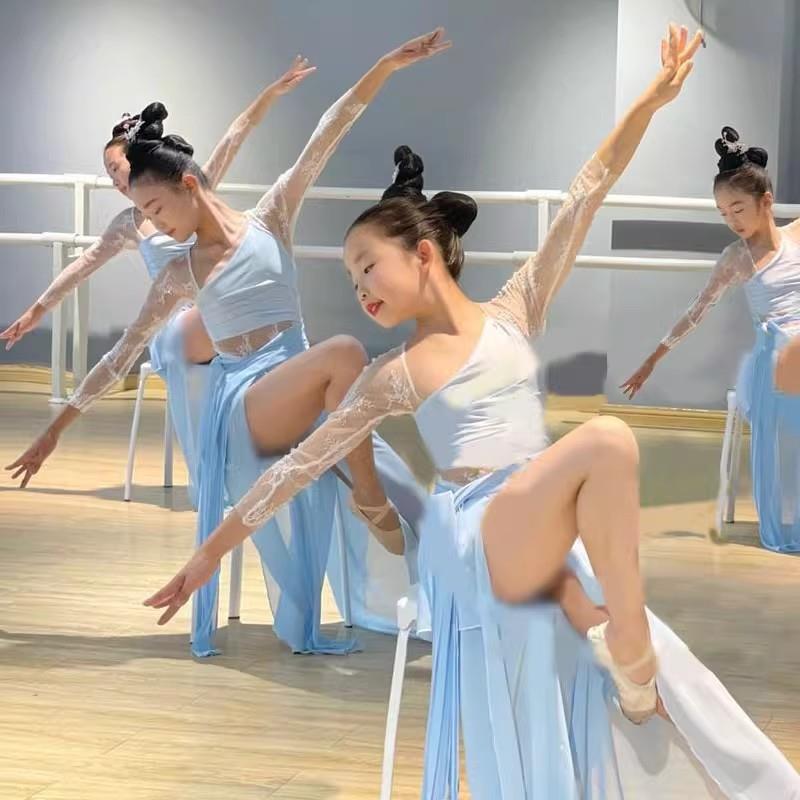 瑶光赋舞蹈服有美人兮表演服芒种演出服中国风身韵纱衣飘逸古典舞 - 图0