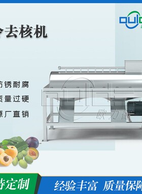 厂供大型工业不锈钢水果核肉分离橄榄杏子青梅桃子李子冷去核机