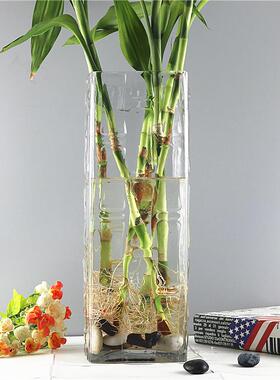 高档特大号方水形花瓶璃透明高50cm花大号插客厅玻摆件培富贵竹落