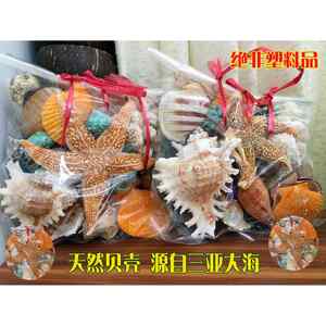 海南天然大壳海螺海星家居陈设鱼缸景观水族装饰儿童节日礼品