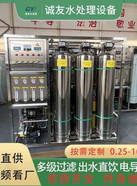 O双级反渗透设备水理直饮20水 离子水超纯R水子电化工EDI净水设处