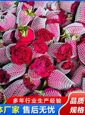 玫瑰花玫低温干燥机 墨玫510瑰花茶红冻干干机 瑰花露真空冷冻燥
