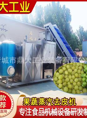 鼎大全自动葡萄蒸汽去皮机全自动水果去皮机小型高压蒸汽去皮机