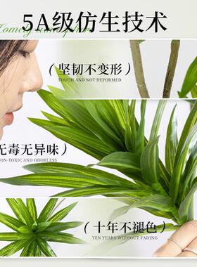 百合竹仿真绿色植物盆栽高级感客厅高端轻奢大型仿生落地装饰摆饰