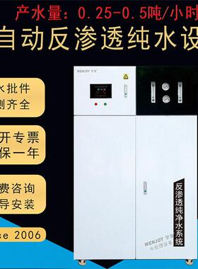 封闭机柜纯水设备商业商务纯净水直饮水机0.5吨净水机反渗透设备
