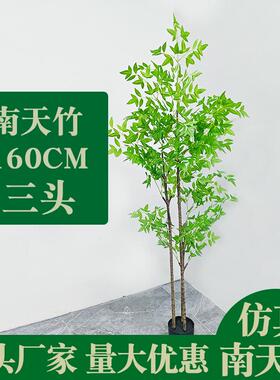 仿真植物南天竹型落地盆栽内室大富贵竹盆仿生绿植件客厅轻奢装摆