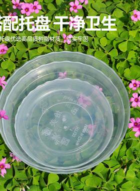 蝴蝶兰专用花盆空气柱透明青山盆特大号大口径塑料圆形桌面高花盆