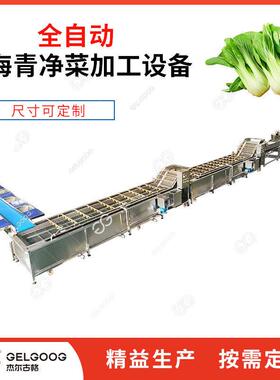百香果清洗榨汁加工杰尔古格水线 水果流清洗风干生产线百香 果洗