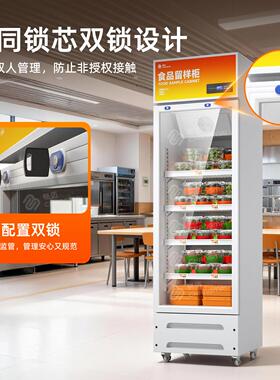 食品留样专用柜幼儿园餐厅食堂带双锁冷藏保鲜冰箱商用展示留样柜