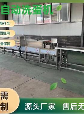 单排鸡蛋清洗机蛋类加工清洗流水线设备洗蛋机鸭蛋清洗加工生产线