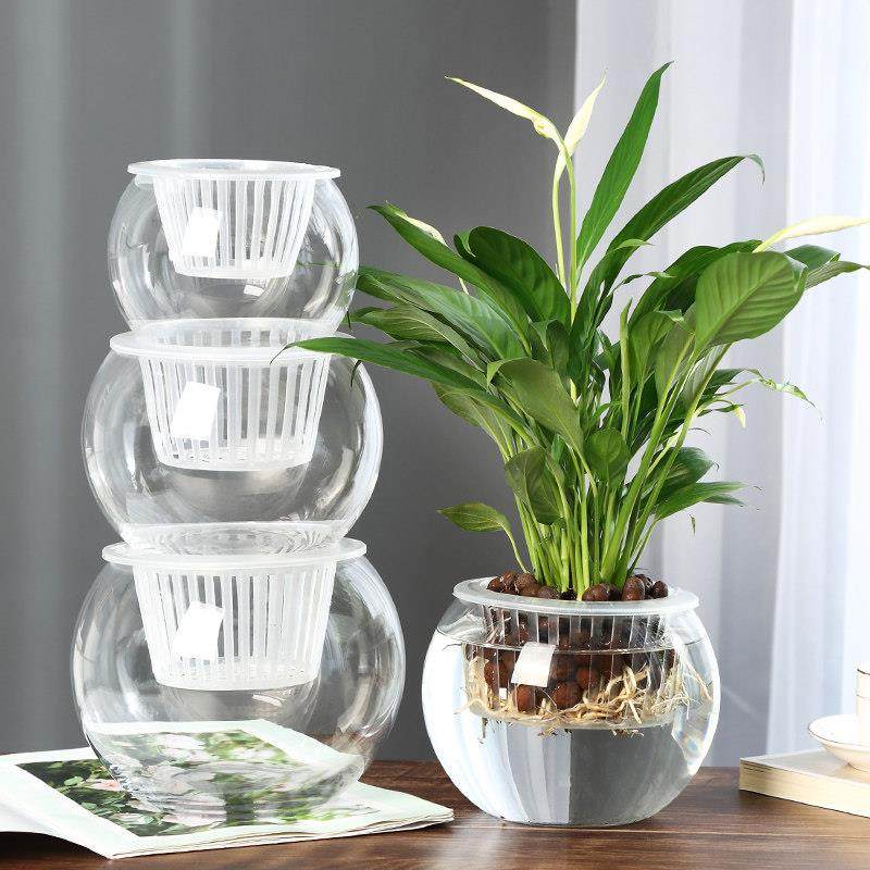 摆创绿意水培瓶植容物透明玻璃花瓶器萝花YQ001盆养花绿植缸水养,淘宝优惠券,粉丝福利购,淘宝优惠卷