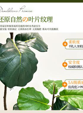 彷真绿色植物琴叶榕室内大型落地高端盆栽电视柜旁假树摆件植物氛