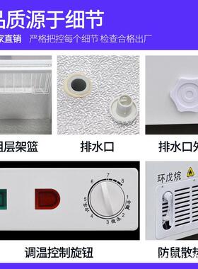 商用冰柜大容量冷藏柜冷冻柜雪糕鱼丸火锅海鲜双温速冻柜家用两用