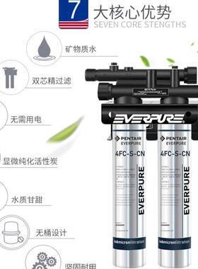 爱惠浦（Everpure）4FC-S TWIN 双联商用净水器自来水过滤直饮机