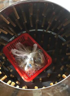 小型家禽自动脱毛机 不锈钢鸡鸭打毛机 养殖场单机宰杀褪毛机