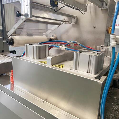 鸭脖鸭翅鸭锁骨拉伸膜真空包装机预制菜连续拉伸膜真空包装设备 - 图2