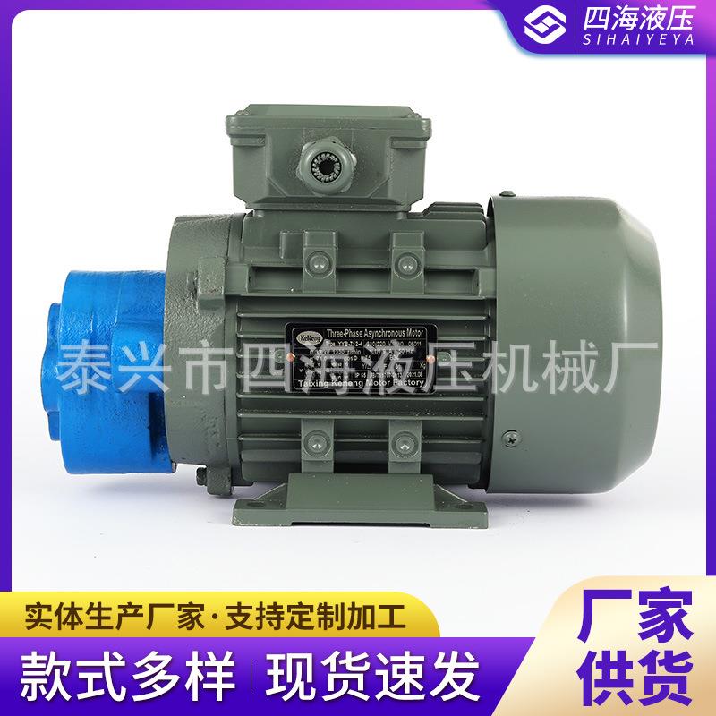 CB-B2.5JZB4JZ直插式齿轮油泵电机组CB-B10JZB6JZ齿轮泵电机组 - 图1