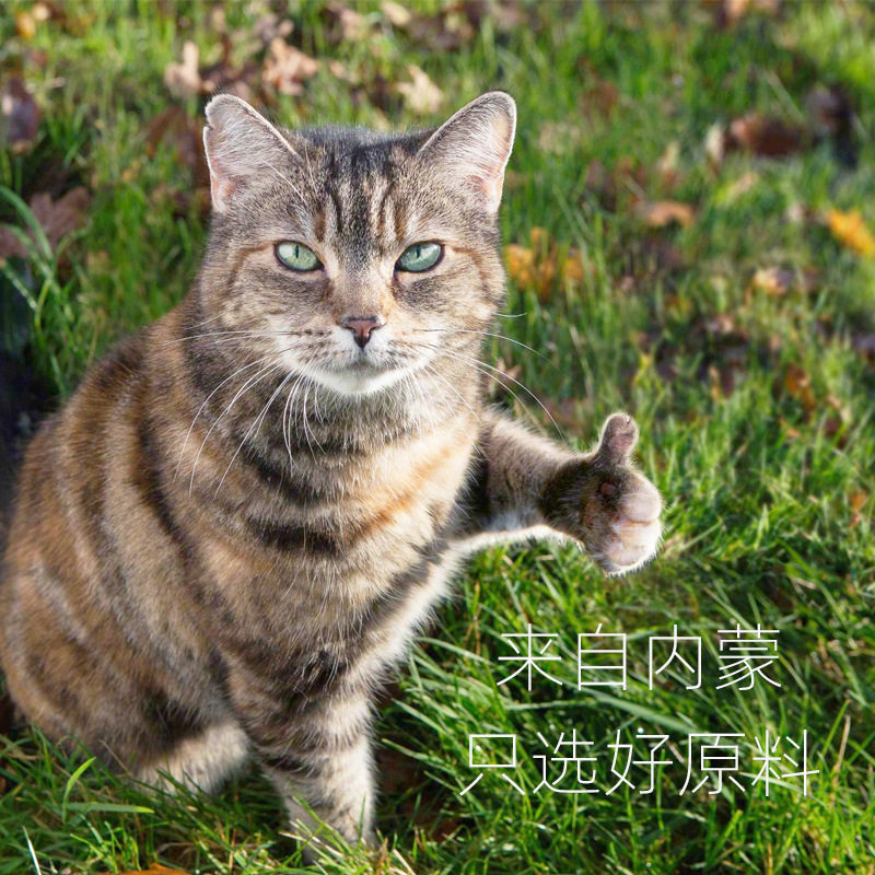 混合猫砂10kg小颗粒膨润土猫砂除臭低尘囤货快速结团猫砂豆腐 - 图2