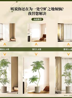 彷真绿端色植物蓝色的花楹室内盆栽大型轻厅彷生植物假树蓝色的花