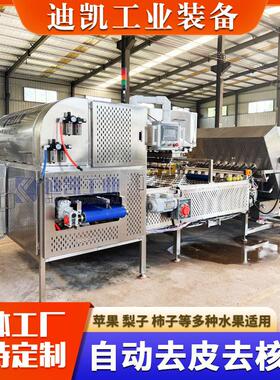 新疆大枣去皮去核机 不锈钢全自动削皮去核机 油桃去皮去核设备