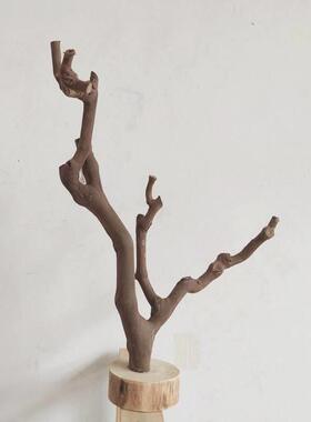 鹦鹉站杆树枝带底托 托摆件茶几手工把玩首饰实木小鸟儿专用落地