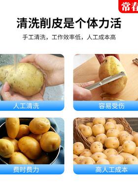 毛刷式土豆脱皮用清洗机洗土豆芋头胡萝卜洋葱生姜商用清洗机