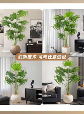 仿真绿色植物加州蒲葵高端轻奢室内装饰电视柜旁边大型仿生盆栽假