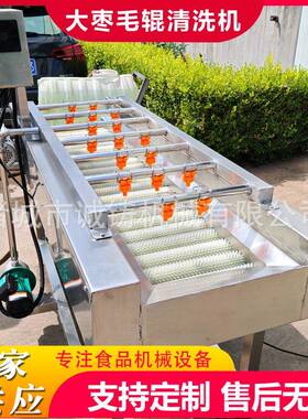 工业用全自动果蔬毛辊清洗机新会柑毛刷清洗机枇杷毛辊清洗机设备