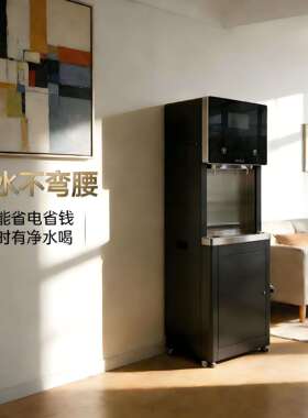 商用立式直饮水机不锈钢双开热水机反渗透开水器RO过滤净水器