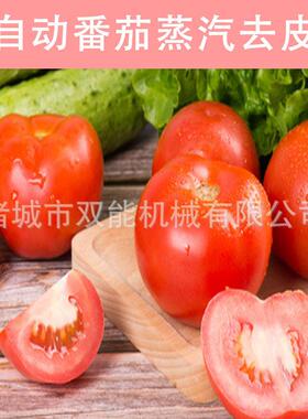 稳定番茄加工流水线 西红柿蒸汽去皮机连续作业 故障低发效率