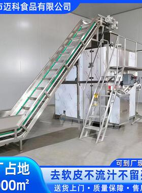 果蔬蒸汽去皮机全自动西红柿物理蒸汽去皮机土豆红薯去皮设备