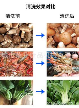 全自动气泡清洗池鱼类海鲜清洗设备自动洗鱼机