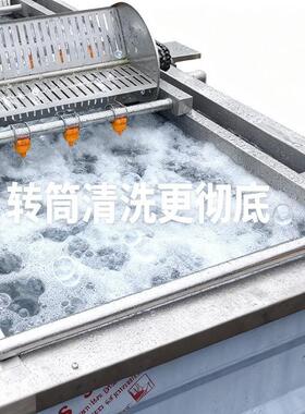 厂家供应时产6吨果蔬清洗脱沙机反向刷洗果蔬