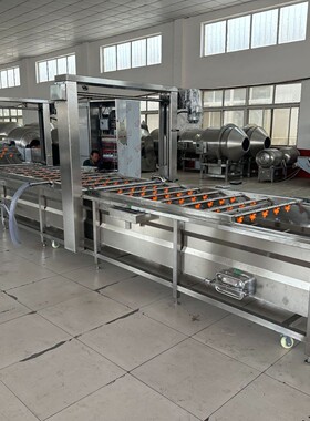商用冻盘冻品解冻 冻肉鸡爪解冻设576备解自动 恒温鸭货机冻流水
