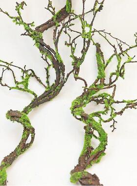 彷真青苔树藤枯藤装饰摆饰干燥树枝藤蔓造景假藤条森系庭院绿植苔