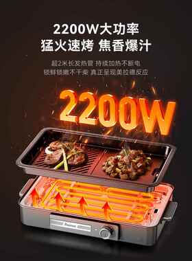 国烤FST-49C肉盘盘电烤家用烤肉锅烤鱼专用盘电烤炉烤德肉炉